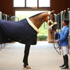 Show Rug 160g Kentucky horsewear - Nellas Horsewear