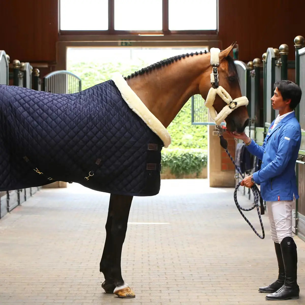 Show Rug 160g Kentucky horsewear - Nellas Horsewear