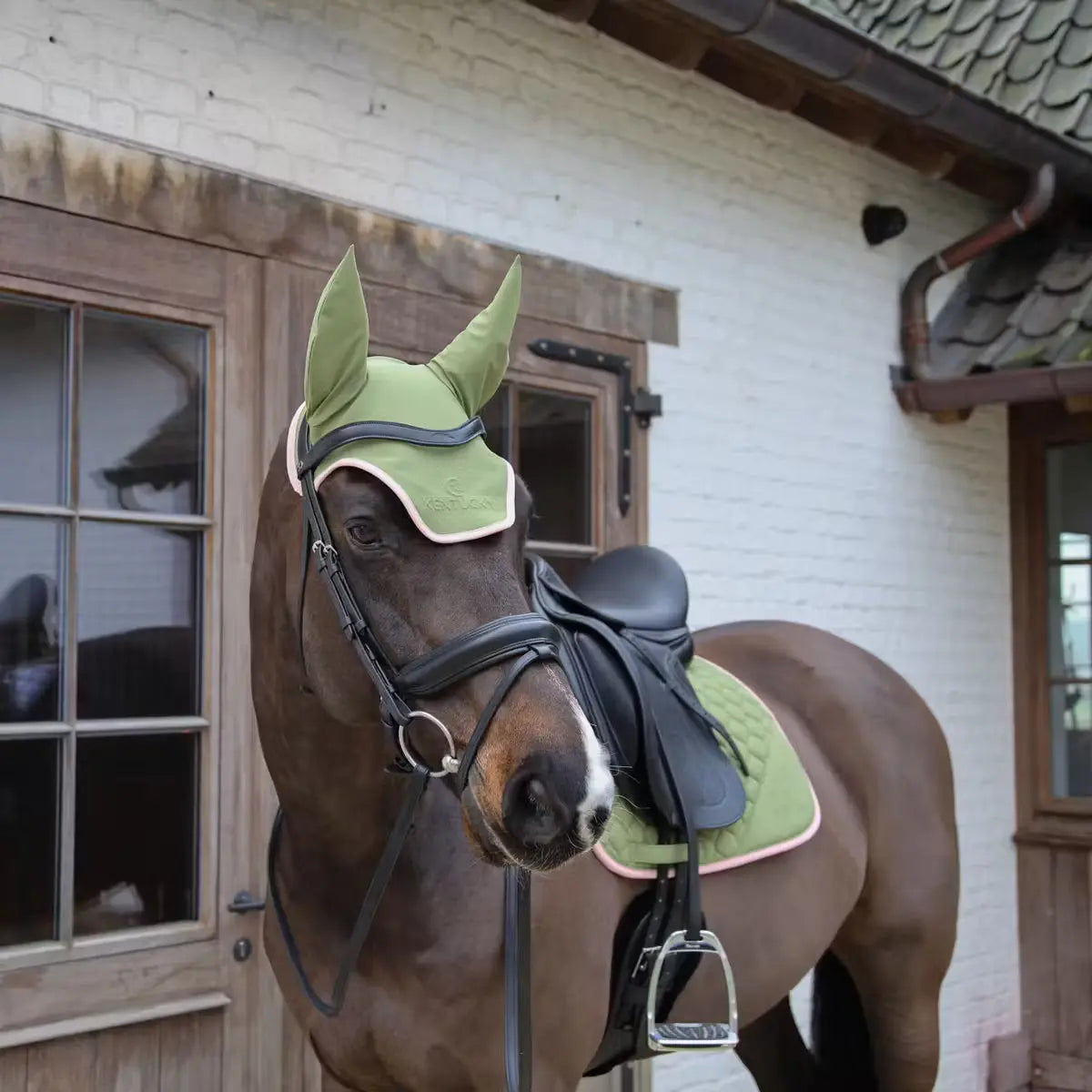 Fly Veil Wellington Sotshell Kentucky Horsewear - Nellas Horsewear