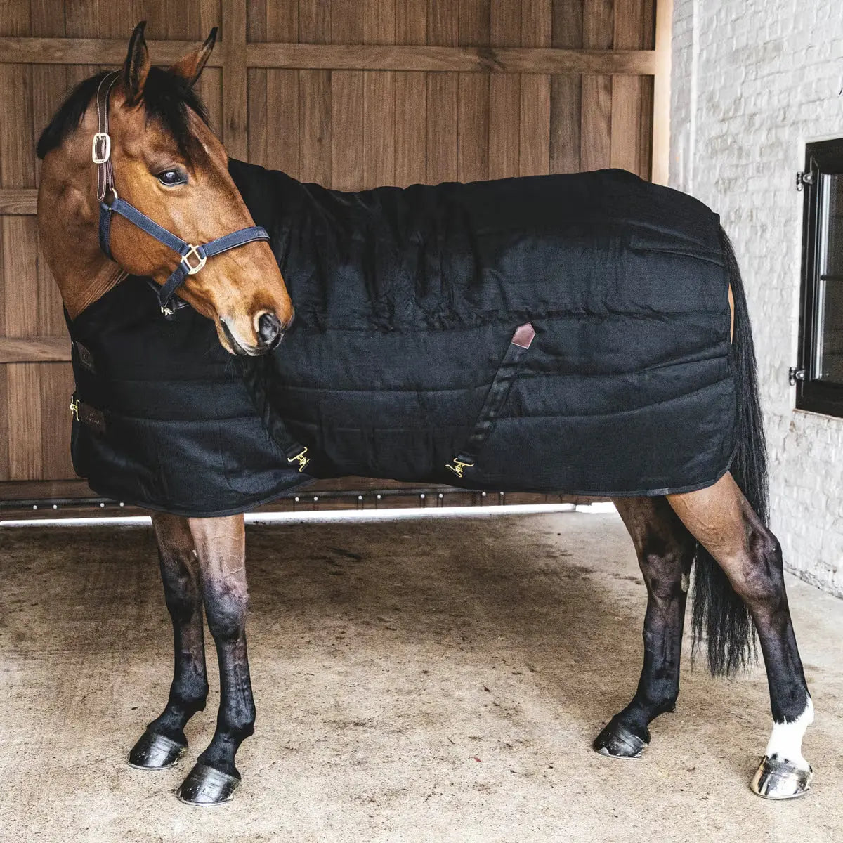 Stable Rug Classic 300g Kentucky - Nellas Horsewear