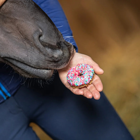 Horse Donuts KC