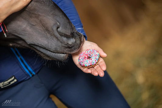 Horse Donuts KC