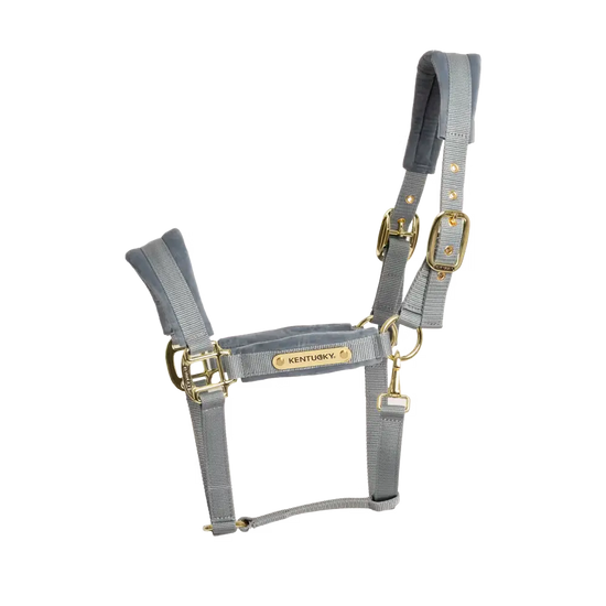 Velvet Halter Kentucky Kentucky