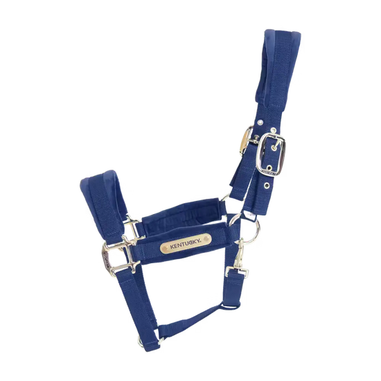 Velvet Halter Kentucky Kentucky