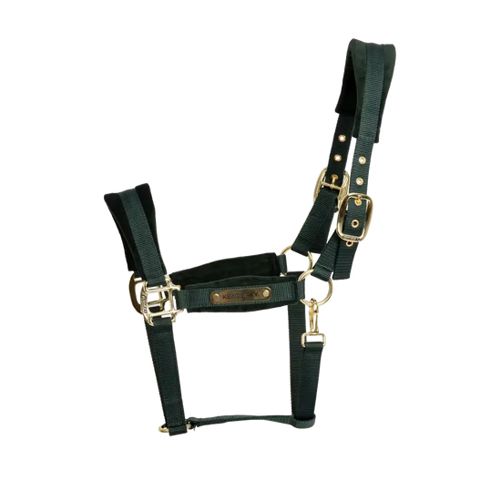 Velvet Halter Kentucky Kentucky