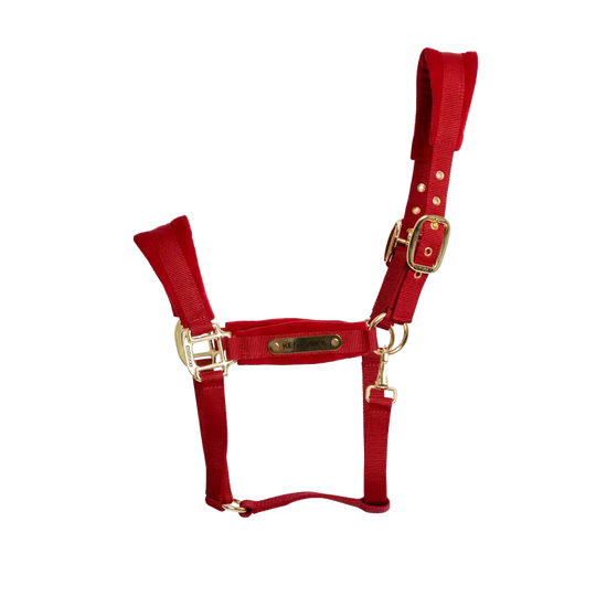 Velvet Halter Kentucky Kentucky
