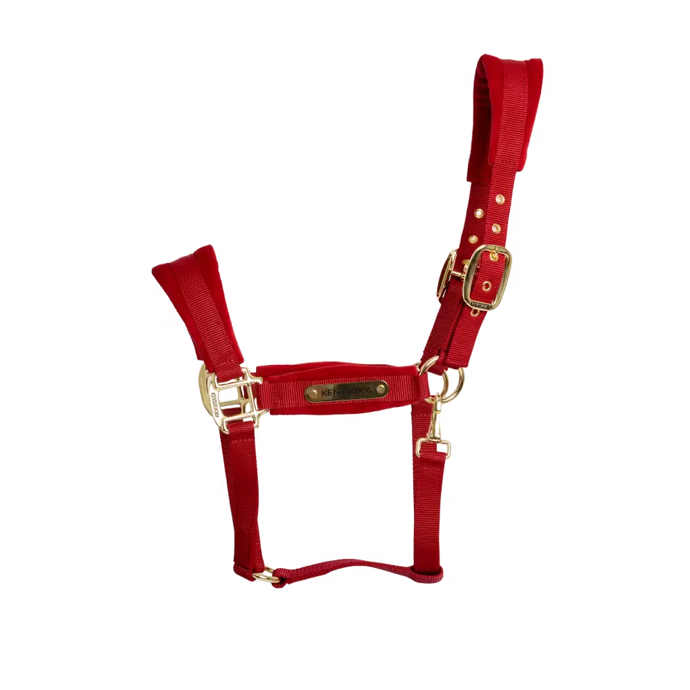 Velvet Halter Kentucky Kentucky