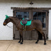 Díjugrató nyeregalátét Velvet Horse Printing | Kentucky Horsewear